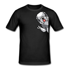 Old English Sheepdog Bobtail