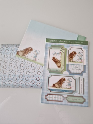 Hunkydory brillant boys giddy - hunkydory,