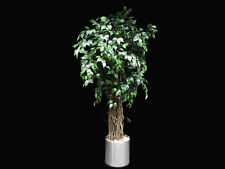 Ficus Benjamini Liane Dekopflanze Kunstbaum 150 cm mit Edelstahl Übertopf
