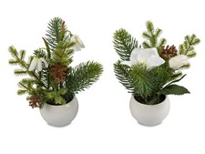 Formano Winterdeko im Topf Weiß Grün Tanne Schneeglöckchen Rose Dekorativ