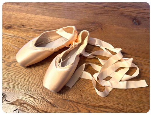 Spitzenschuhe balettschuhe - spitzenschuhe,