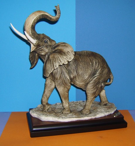 Jagd jäger selten - jagd,