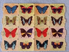 alter Glanzbilder Groß-Bogen M.P. 893 Schmetterlinge