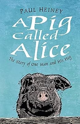 Pig called alice - pig, the