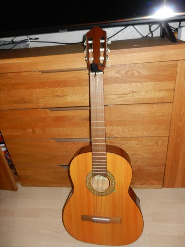 Carl hellweg gitarre - cs,