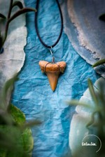 Haifischzahn Kette Geschenk