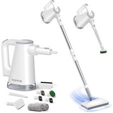 Dampfreiniger 2-in-1