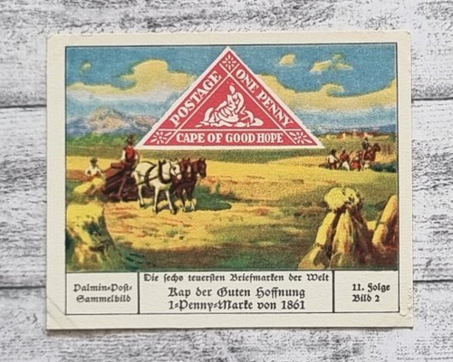 Kap guten hoffnung - kap,