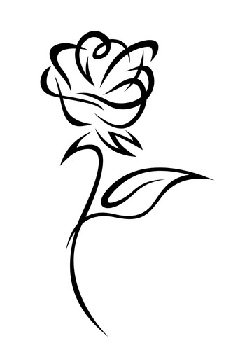 Autoaufkleber sticker rosen - sticker,