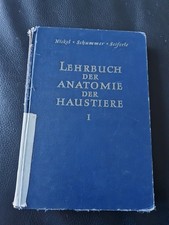 Lehrbuch der Anatomie der