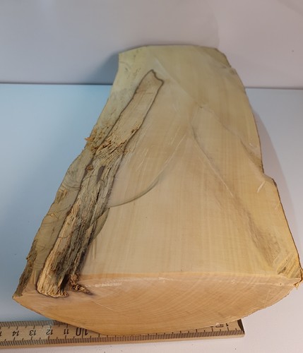 Halb stamm drechselholz - halb,