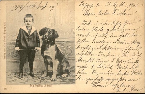 Hunde kind junge - kind,