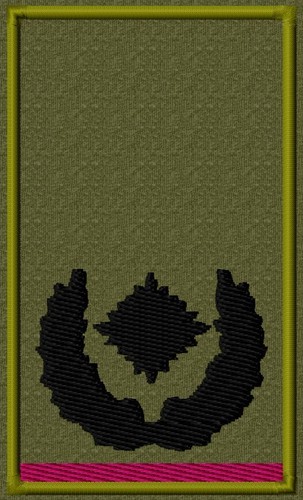 Rangabzeichen heer - rangabzeichen,,