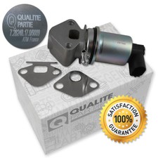 OEM ABGASRÜCKFÜHRUNGSVENTIL