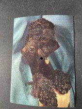 Alte Postkarte Single  Titel