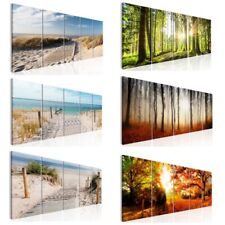 Wald Strand Meer Landschaft