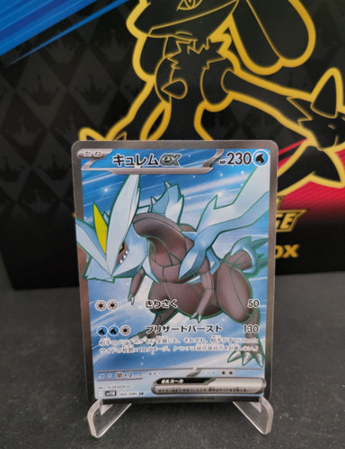 Kyurem schwarze blitze - –,