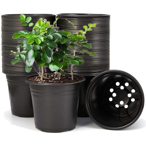 Blumentöpfe 15cm - 50,