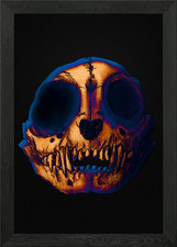 Kleiner Affenschädel farbig