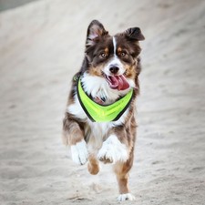  LED -Weste Beleuchtetes Und