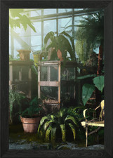 Terrarium gewächshaus - terrarium,