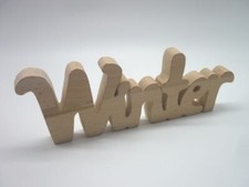 Schriftzug  Winter aus