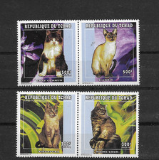 TSCHAD 1998 KATZEN MAINE COON, SINGAPURA, SIAMKATZE, HAUSKATZE