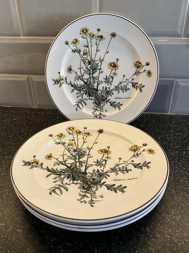 Villeroy boch botanica 4 - &, x