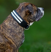 Lederhalsband Hund Ruffle