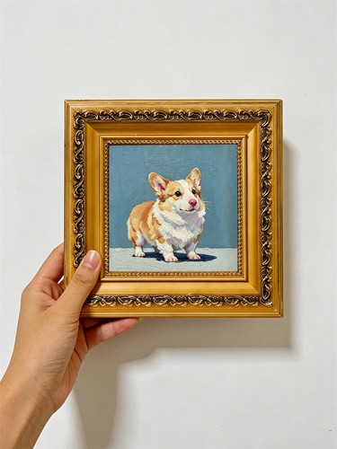 Tan white corgi - white,