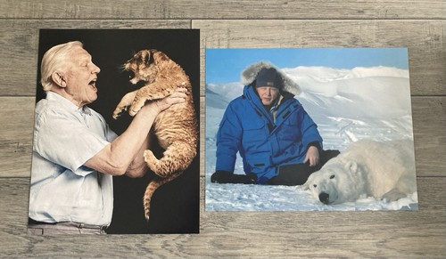 Sir david attenborough x - attenborough,