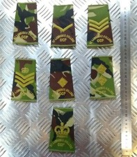 Woodland DPM Camo St. Lawrence College CCF Rangfolien sortiert - NEU