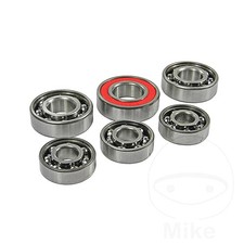 Roller Bearing Kit Engine Fits