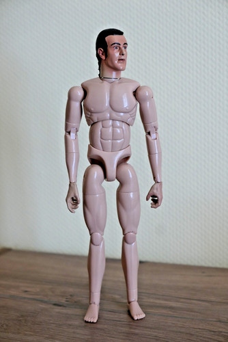 Sideshow body rohling - 1/6,