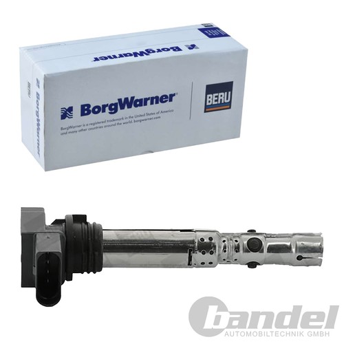 Borgwarner zündspule - (beru),
