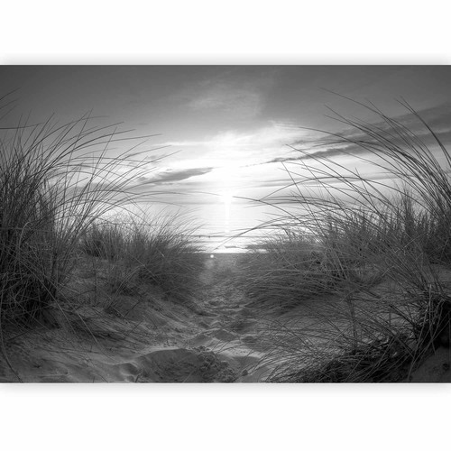 Meer landschaft strand - meer,