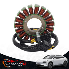 Stator Lichtmaschine für