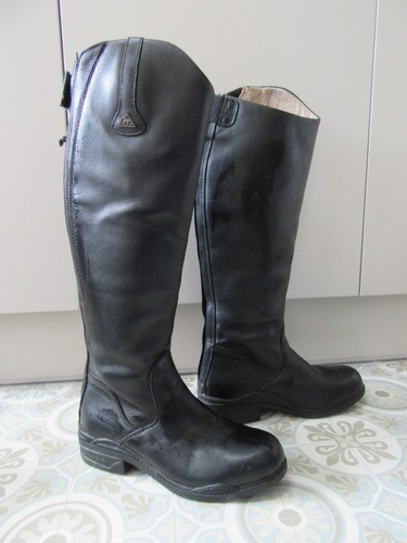 Mountain horse 7 1 2 - 7,