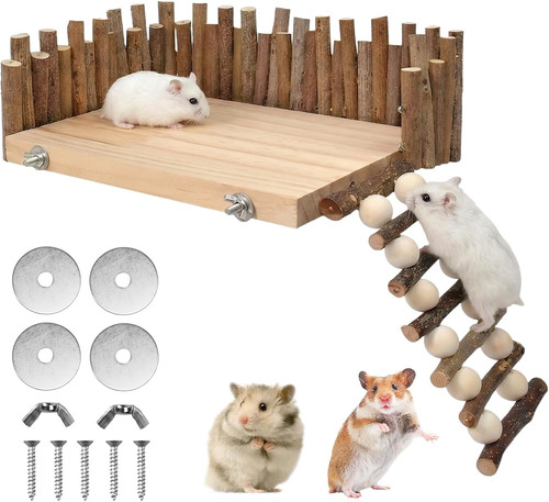 Hamster plattform auf - hamster,