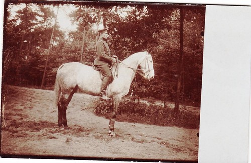 Fotoak horse ulan ulanen - fotoak,