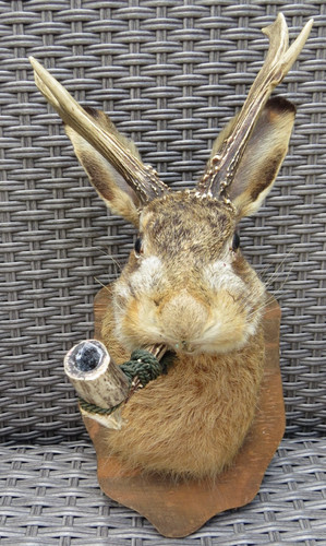 28541 alter wolpertinger - ,