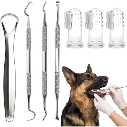 Zahnsteinentferner hund katze - zahnsteinentferner,