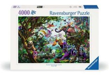 Ravensburger 00812 Die Drachen