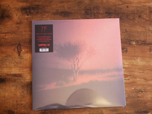 Joji piss the - wind, vinyl