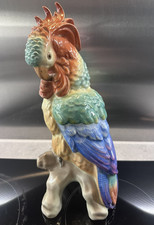 Herend Kakadu - Natur