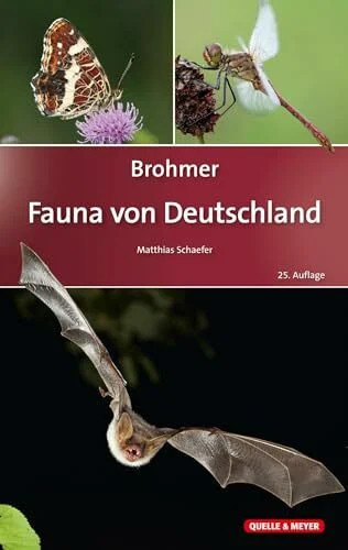 Brohmer fauna von - –,