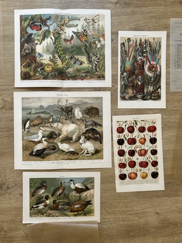 Orig chromolithographie - orig.,