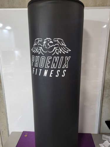 Phoenix fitness large - fitness, punching