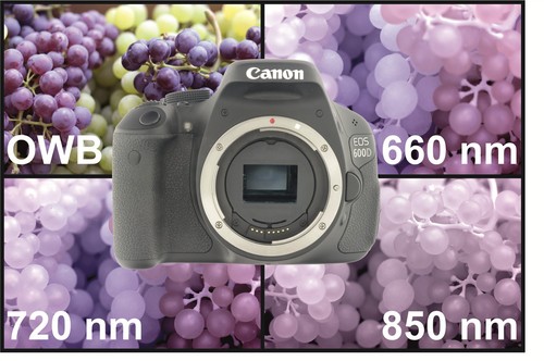 Canon eos 600d - canon,
