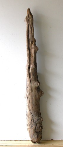 Treibholz schwemmholz - treibholz,